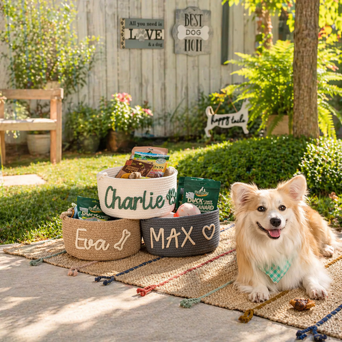 Personalized dog toy basket for pet supplies and cozy home storage