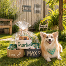 Handmade custom name dog baskets for pet toys and accessories